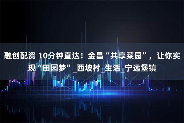 融创配资 10分钟直达！金昌“共享菜园”，让你实现“田园梦”_西坡村_生活_宁远堡镇