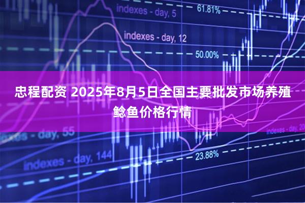 忠程配资 2025年8月5日全国主要批发市场养殖鲶鱼价格行情