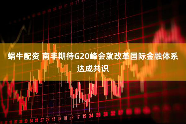 蜗牛配资 南非期待G20峰会就改革国际金融体系达成共识