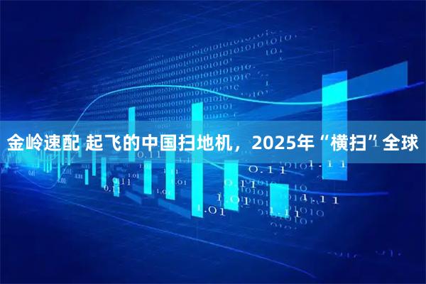 金岭速配 起飞的中国扫地机,2025年“横扫”全球