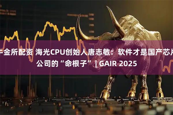 牛金所配资 海光CPU创始人唐志敏:软件才是国产芯片公司的“命根子” | GAIR 2025