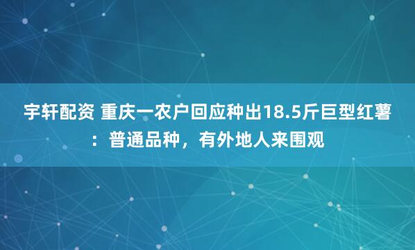 宇轩配资 重庆一农户回应种出18.5斤巨型红薯:普通品种,有外地人来围观