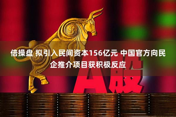 倍操盘 拟引入民间资本156亿元 中国官方向民企推介项目获积极反应